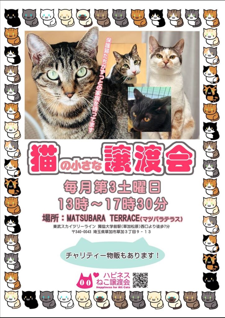 ハピネスねこ譲渡会