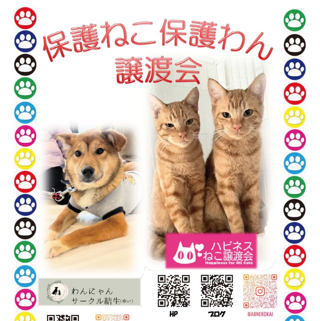 マツバラテラスで『保護ねこ保護わん譲渡会』定期開催中!!